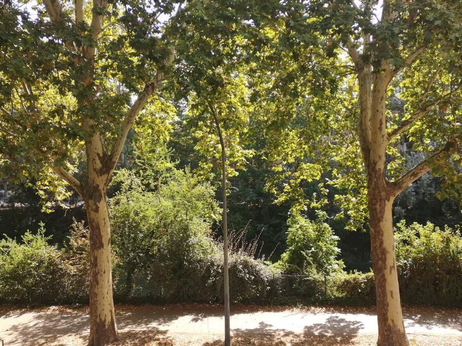 L'Elegance Du Midi - Climatisation Reversible Toulouse Bagian luar foto